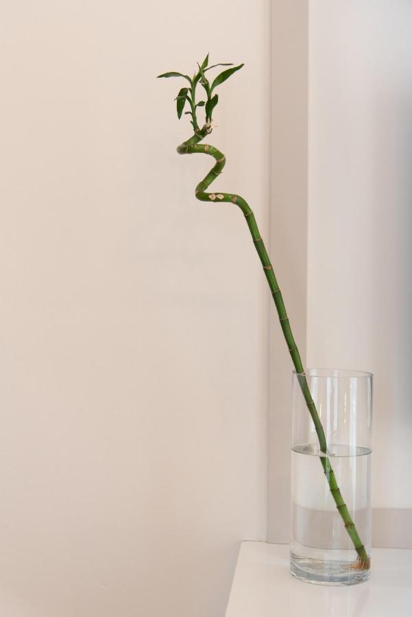 Medluxe Luxury Apartment ! Атина Екстериор снимка